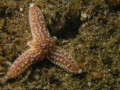 St Kilda010
