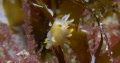 St Kilda022