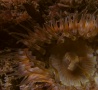 St Kilda053