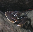 Stromstad_okt_05-010