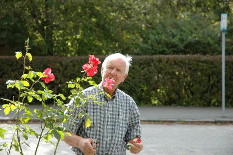 Sture-002