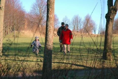 Sture-012