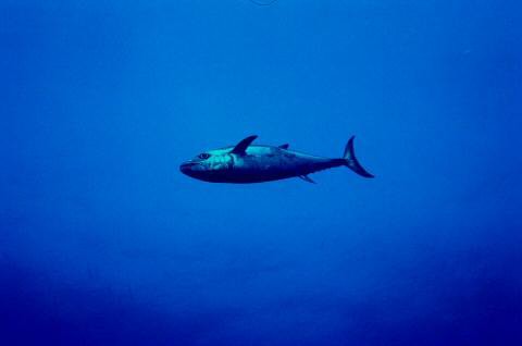 image002