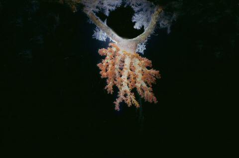 image022